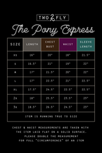 Load image into Gallery viewer, Pony Express Jacket