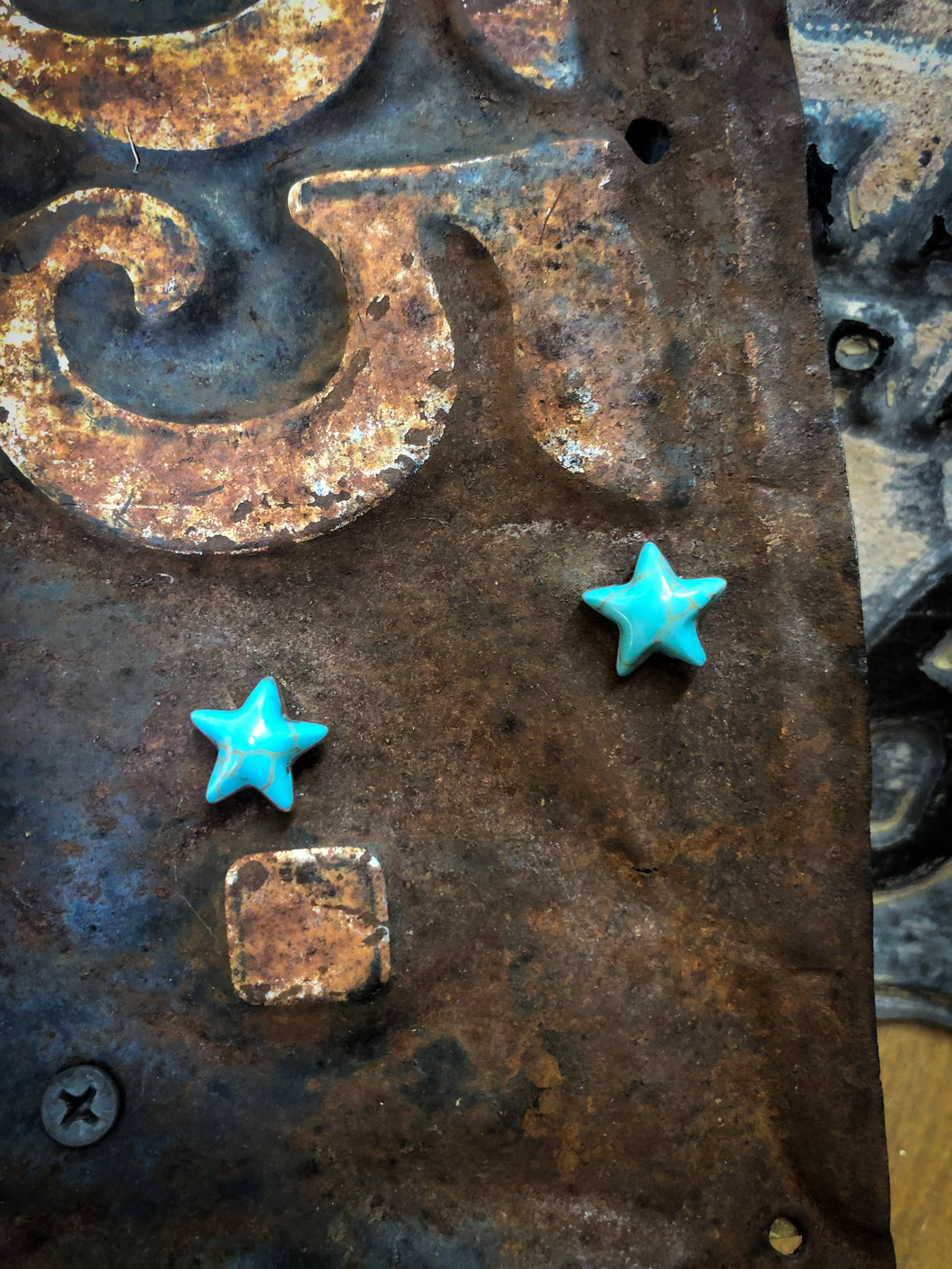 The Starry Night Earrings